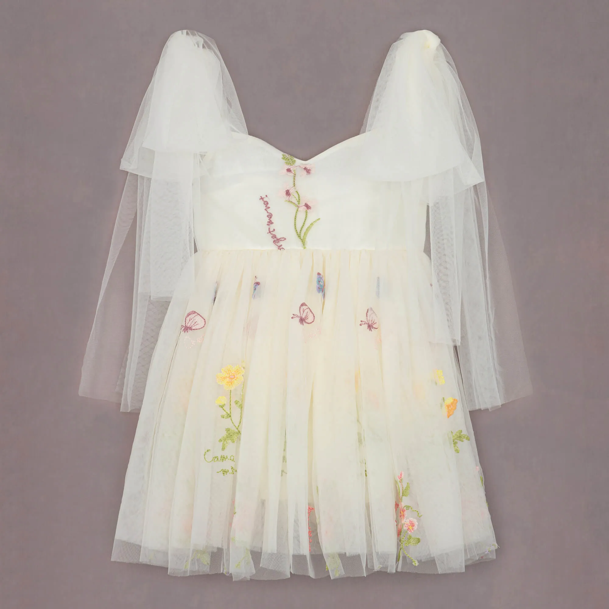 Baby Enchanted Angel Dress - Embroidered Ivory Tulle