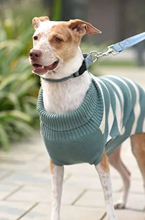 Emerald Green Sweater